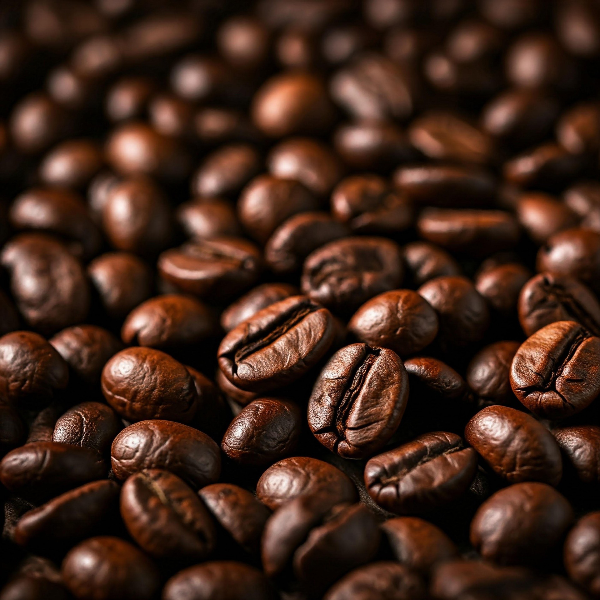 Contact Cattleya's Coffee